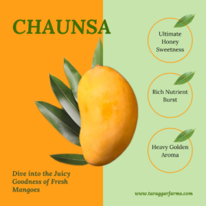 Chaunsa
