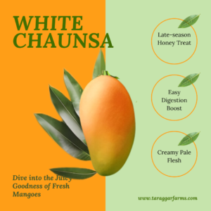 White Chaunsa